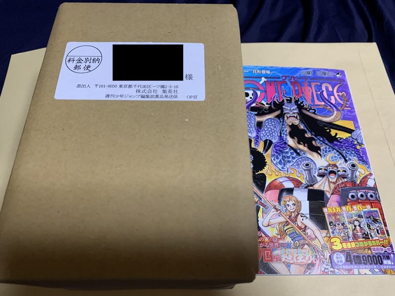 ONE PIECE モノクロ版 101 (ジャンプコミックス)
