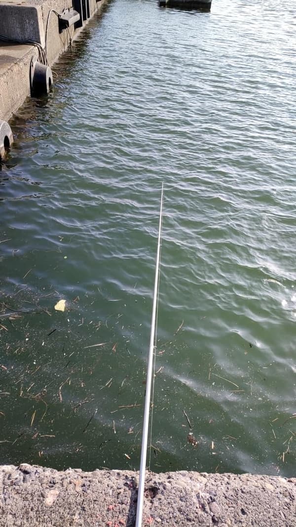 ケイムラパールスキンサビキ S150 - がまかつ