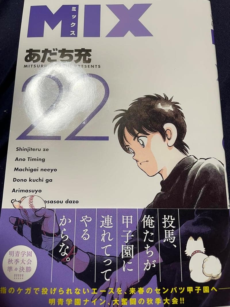 ゲッサン少年サンデーコミックス MIX（22巻）
