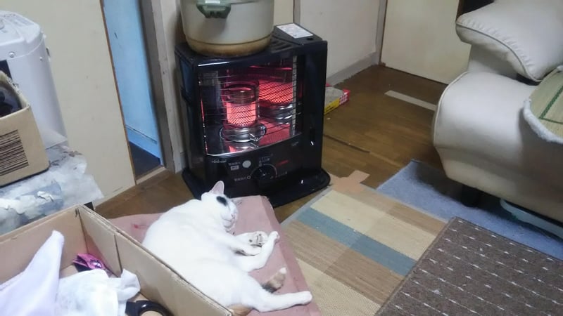 トヨトミ ブラック 石油ストーブ 木造6畳・コンクリート8畳対応 日本製 RSV-23N(B)