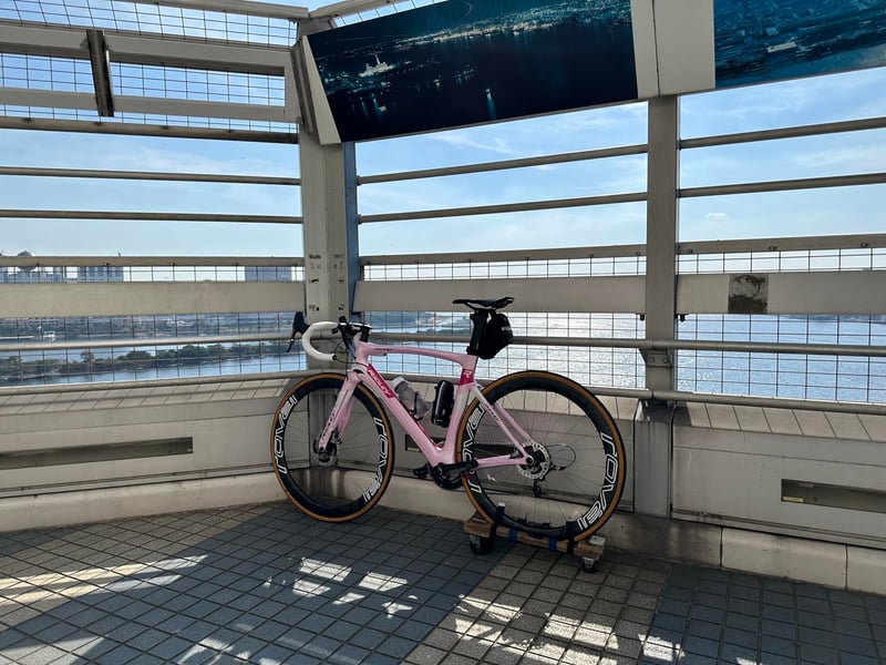 700c フォールディングタイヤ 2本セット SCHWALBE ONE ADDIX [並行輸入品]