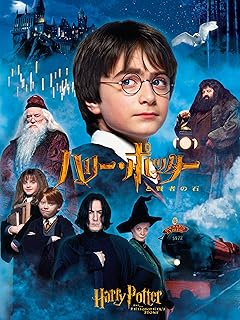 ハリー・ポッターと賢者の石 吹替版 DVD