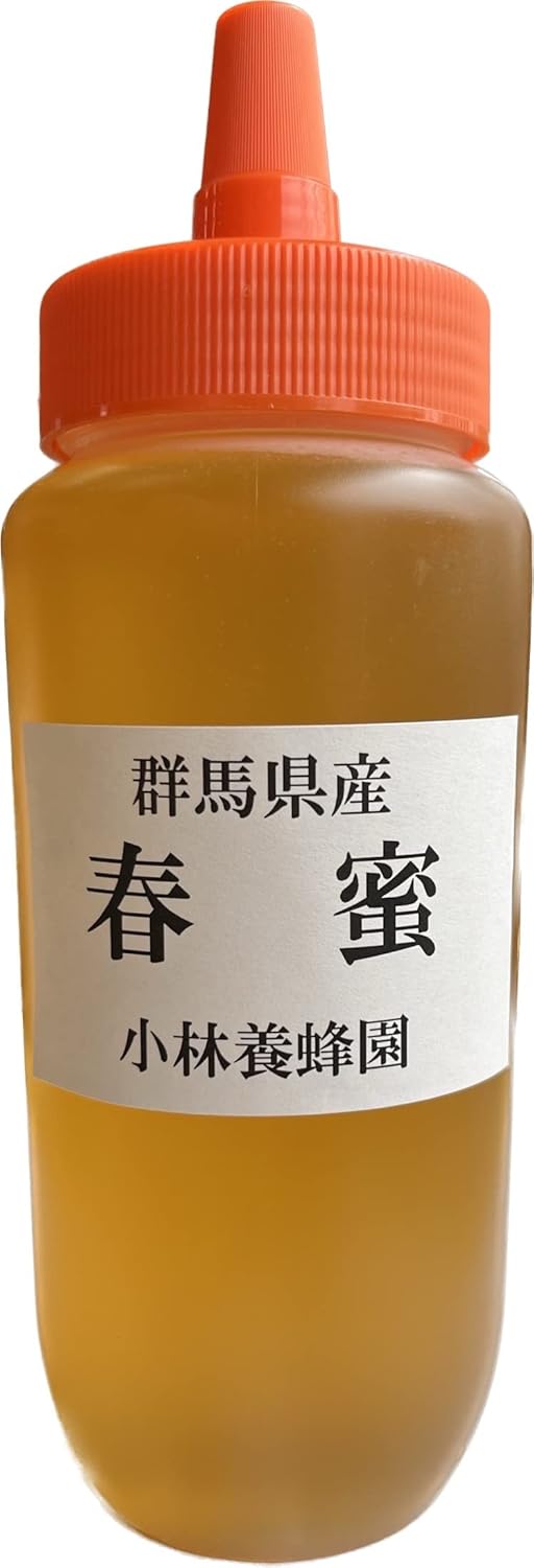 群馬県産春蜜2025年産非加熱生はちみつ500g