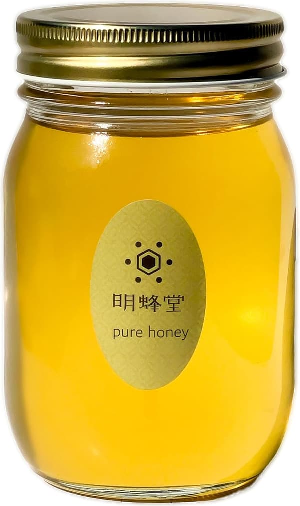 自家採蜜国産天然純粋蜂蜜 (クロガネモチ500g)【明蜂堂】
