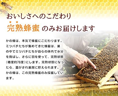 国産みかん蜂蜜 1000g 完熟純粋蜂蜜（とんがり容器）