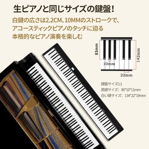 TERENCE 88鍵折りたたみ電子ピアノ タッチレスポンス MIDI対応 軽量コンパクト ケース付 V30 ブラック