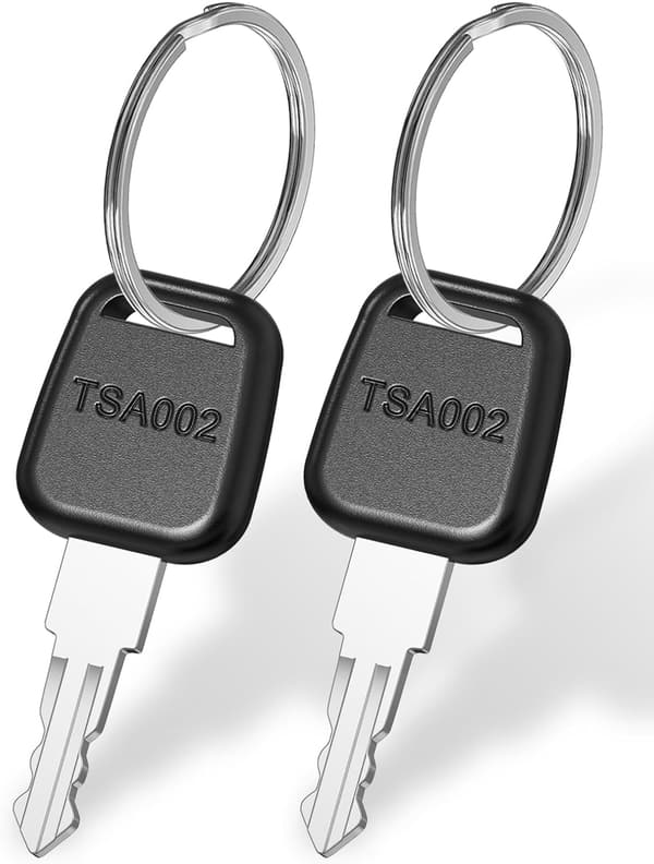 海外旅行向け TSA002 鍵 2枚セット トラベルバッグ用スペアキー キーリング付き