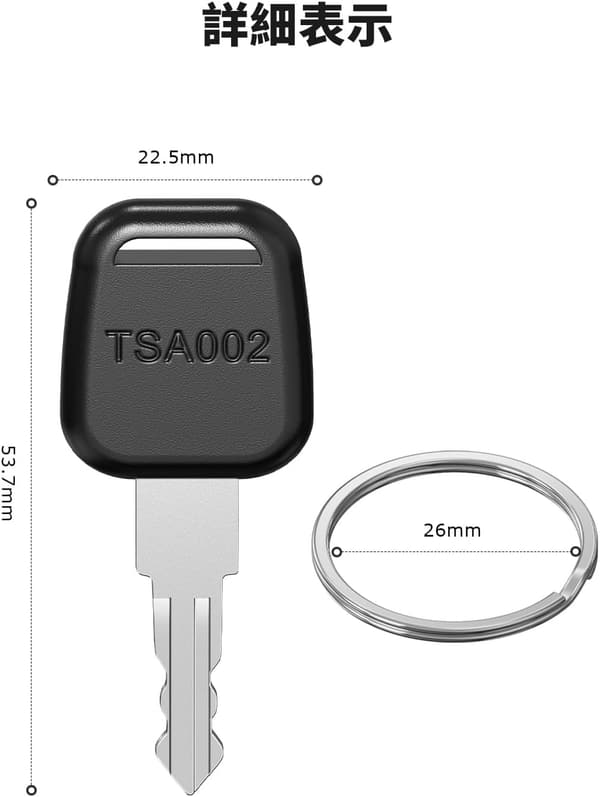 海外旅行向け TSA002 鍵 2枚セット トラベルバッグ用スペアキー キーリング付き