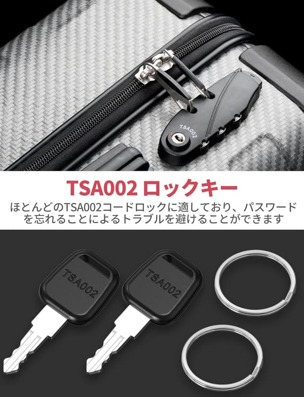 海外旅行向け TSA002 鍵 2枚セット トラベルバッグ用スペアキー キーリング付き
