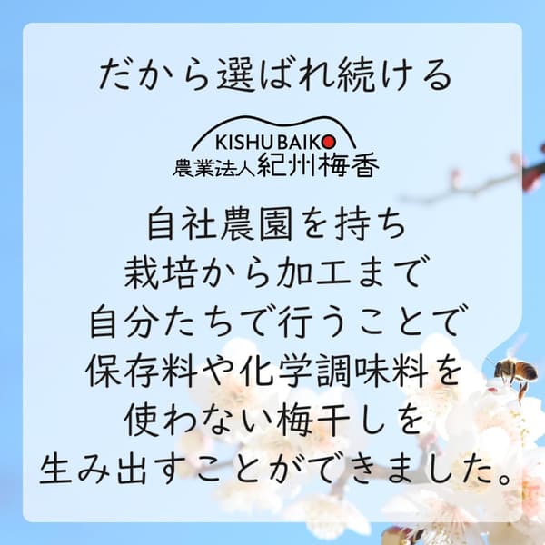 紀州南高梅の高級無添加蜂蜜梅 430g 塩分6% 完熟