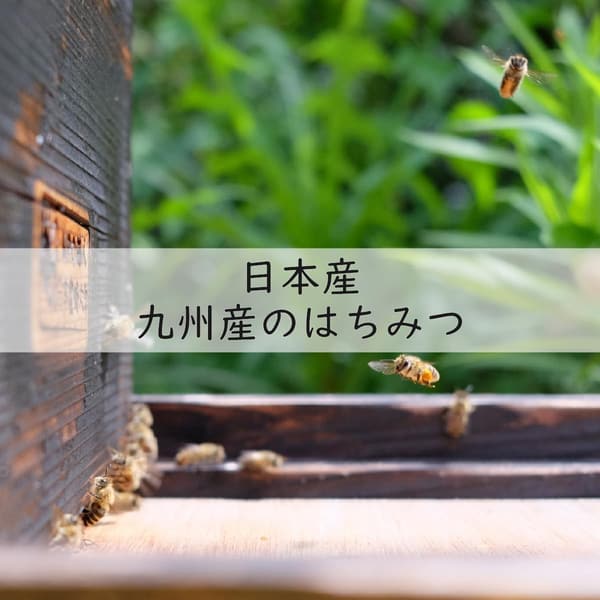 紀州南高梅の高級無添加蜂蜜梅 430g 塩分6% 完熟