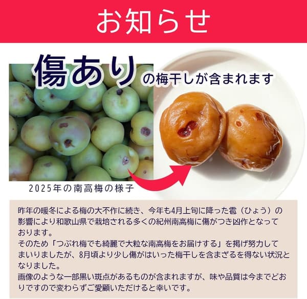 紀州南高梅 大粒 しその風味香る 塩分10% 高級梅干し 800g