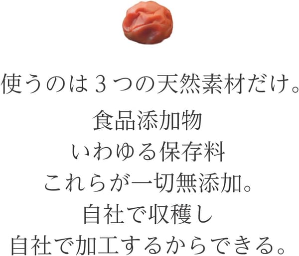 減塩紀州梅干し 特上完熟 無添加 860g(430g x 2)