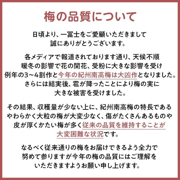 紀州南高梅 しそ風味 大粒 完熟梅干し 訳あり (1kg) 塩分約8% 国産 和歌山県