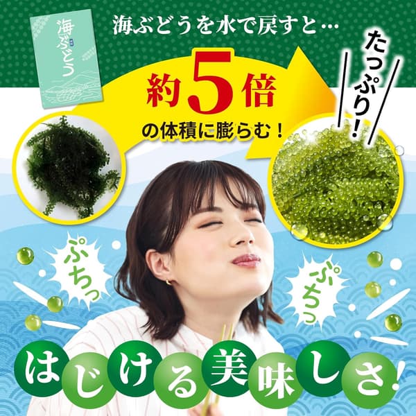 海ぶどう 大容量 10食入り 水でもどすと5倍膨らむ 常温保存可 賞味期限長め