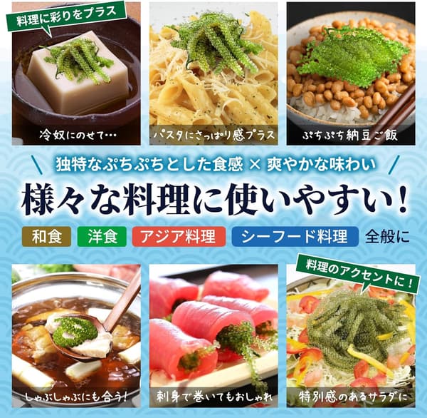 海ぶどう 大容量 10食入り 水でもどすと5倍膨らむ 常温保存可 賞味期限長め