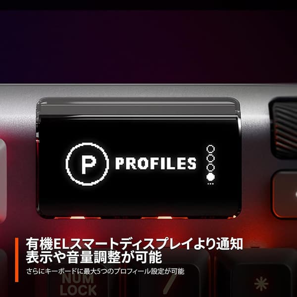 有機ELディスプレイ搭載 日本語配列 ゲーミングキーボード Apex 5