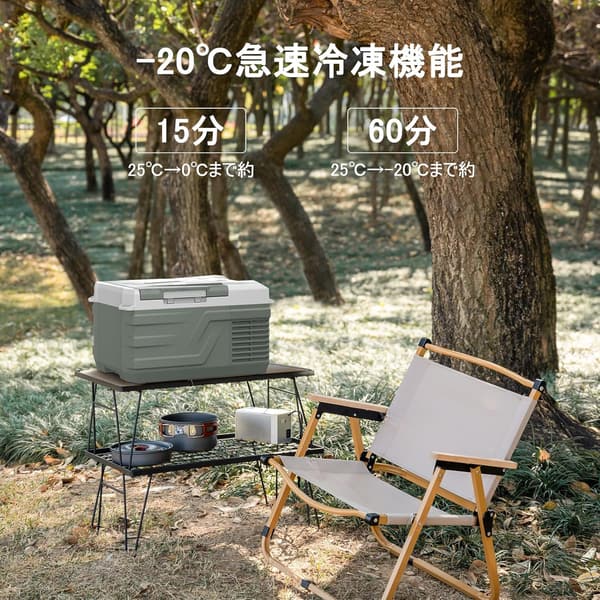 ポータブル冷蔵庫 9L -20℃～20℃ 車載・家庭両用 静音・省エネ 3WAY電源対応 NL9