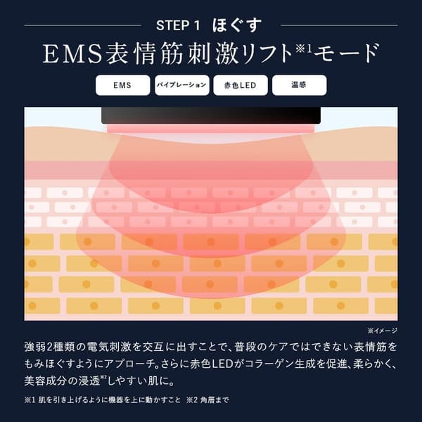 EMS EER メンズ美顔器 1台8役 リフトケア 赤青LED マイクロカレント
