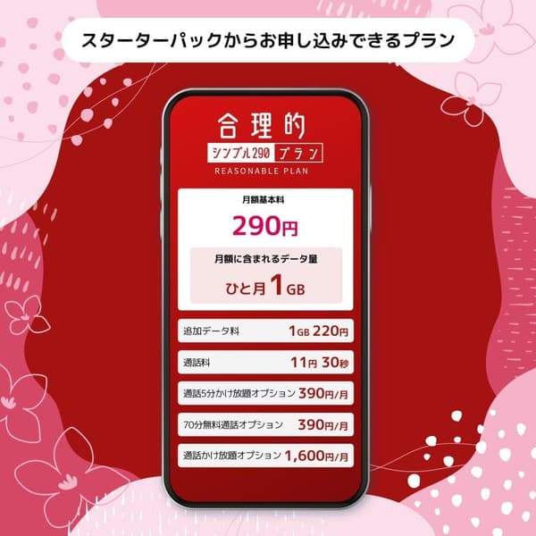 音声対応・データ通信専用選べるSIM新スターターパック NT-ST2-P