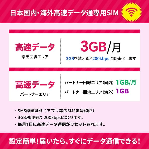 プリペイドSIMカード 日本国内用 3GB高速データ/月 RAKUTEN・au回線 SMS認証対応 1年間有効