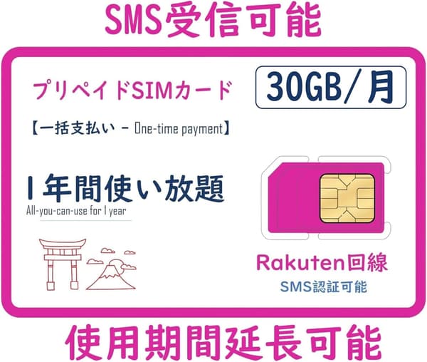 ViraDenki プリペイドSIMカード 30GB 1年有効 5G/4G-LTE対応