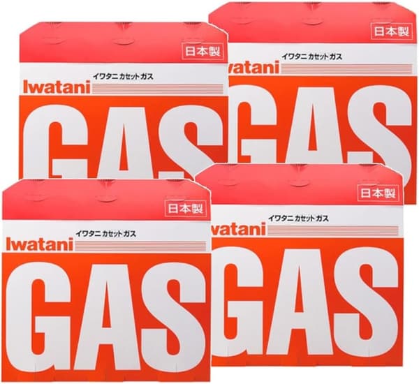 イワタニ カセットガス 250g×12本（4個セット）
