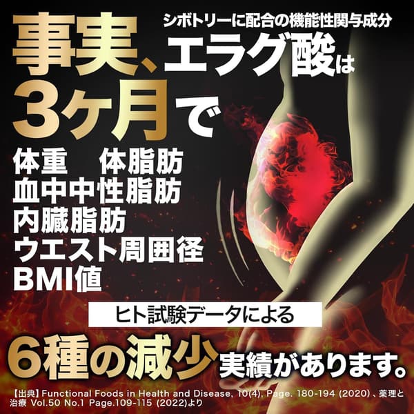 エラグ酸・有胞子性乳酸菌配合 サプリメント - 体重・体脂肪・血中中性脂肪の管理に最適 31粒入り
