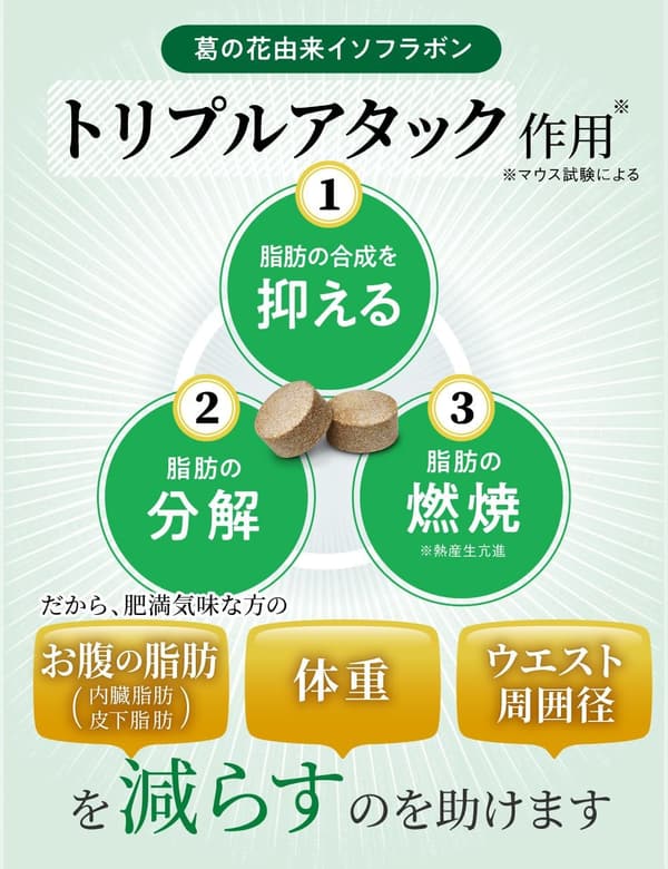 シボストンダイエットサポートサプリ30日分｜葛の花由来イソフラボン配合