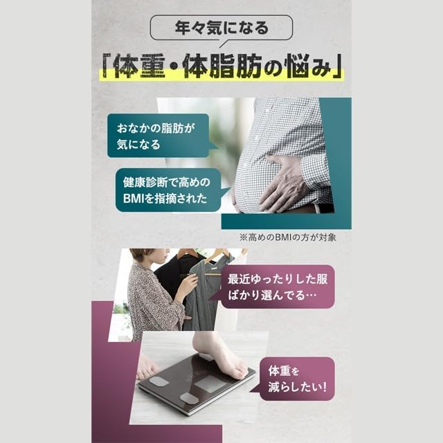 内脂サポート サプリメント 30日分 ブラックジンジャー配合