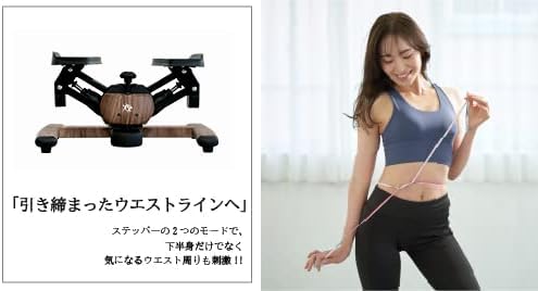 プレミアムツイストエアロステッパー SP-600 木目調 静音 筋トレ・有酸素運動 連続使用120分 商品保証5年