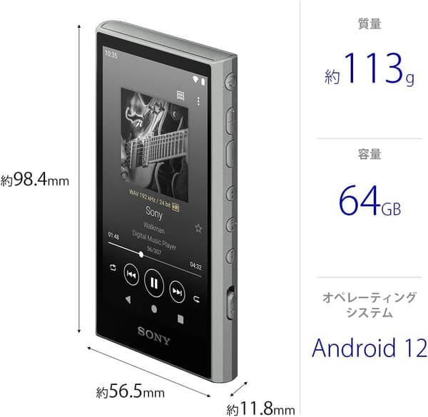 ハイレゾ対応 Sony ウォークマン NW-A307 64GB Bluetooth MP3プレーヤー タッチパネル 最大36時間再生 グレー