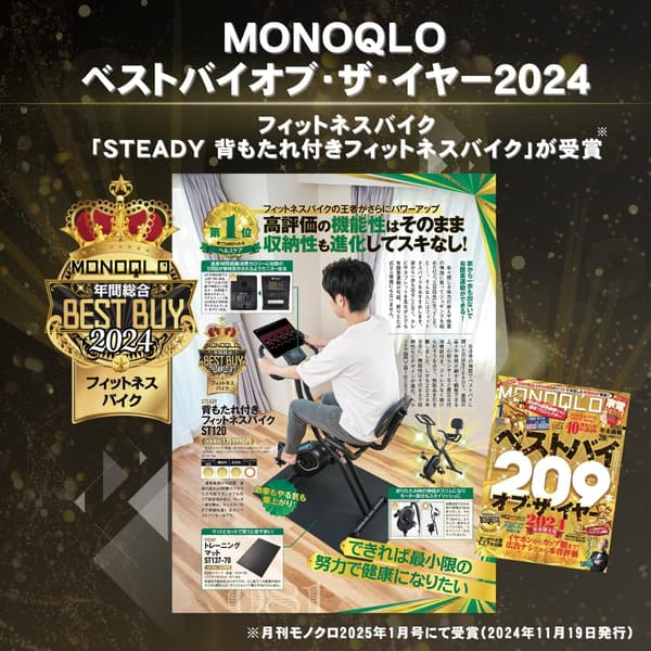 家庭用静音フィットネスバイク 折り畳み式 エアロバイク【MONOQLO年間ベストバイ2024受賞】