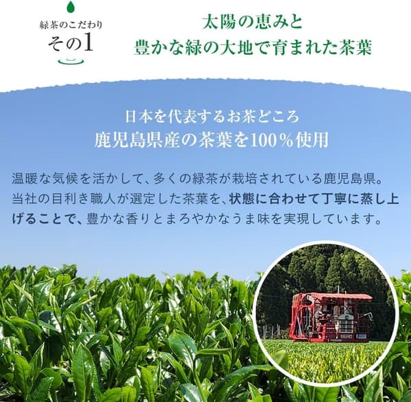 彩茶 緑茶 500ml ペットボトル 24本入り ケース販売