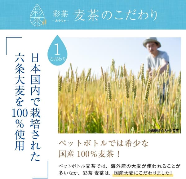 ノンカフェイン麦茶 彩茶 500ml 24本入り