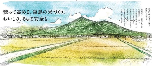 令和6年産 福島県産 無洗米 天のつぶ パールライス 5kg