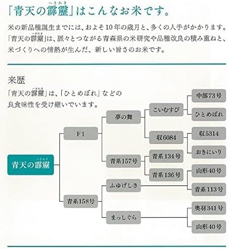 青森県産 無洗米 青天の霹靂 3kg【令和6年産】