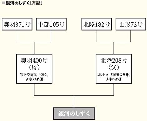 岩手県産 白米 銀河のしずく 5kg (令和6年産)