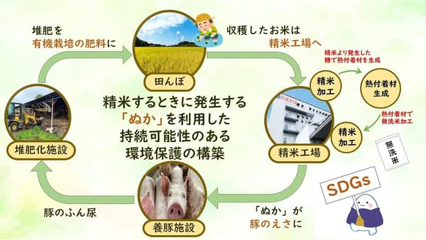 無洗米 ふさこがね 5kg【令和6年産】【千葉県産】
