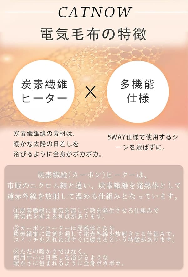 電気毛布 両面フランネル 12時間タイマー・6段階温度調整可 120×60cm 抗菌防臭 PSE認証 シングル