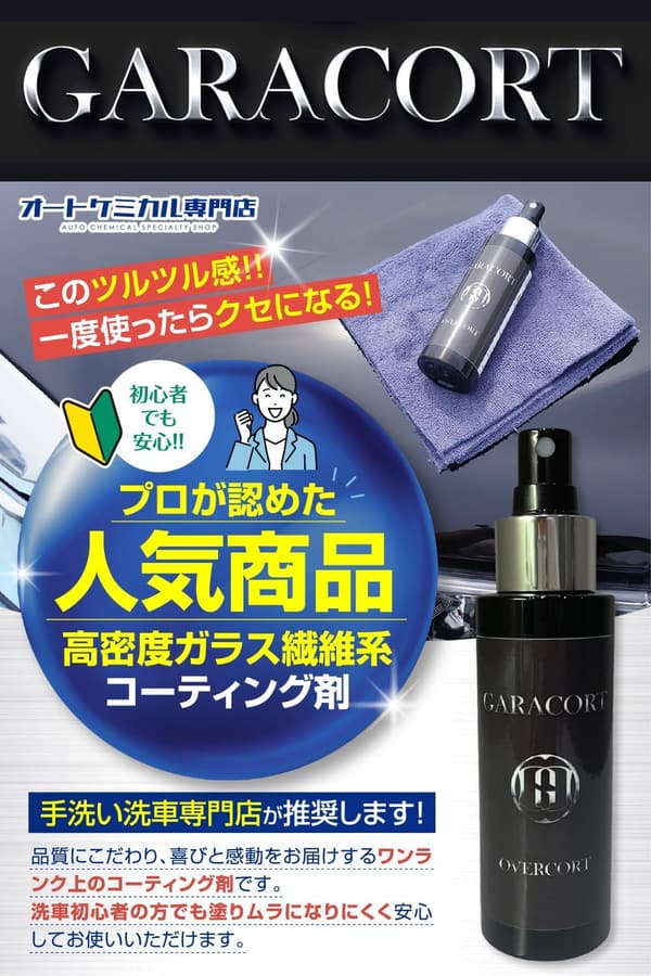 ガラス系コーティング剤 100ml 超撥水 車両用全色対応 洗車・メンテナンス用