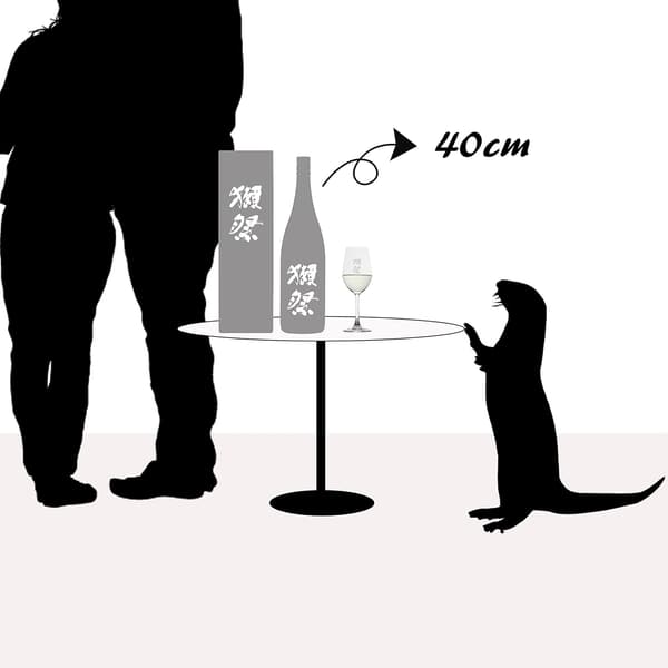 純米大吟醸45 獺祭 1800ml ギフトボックス入り【山口県】