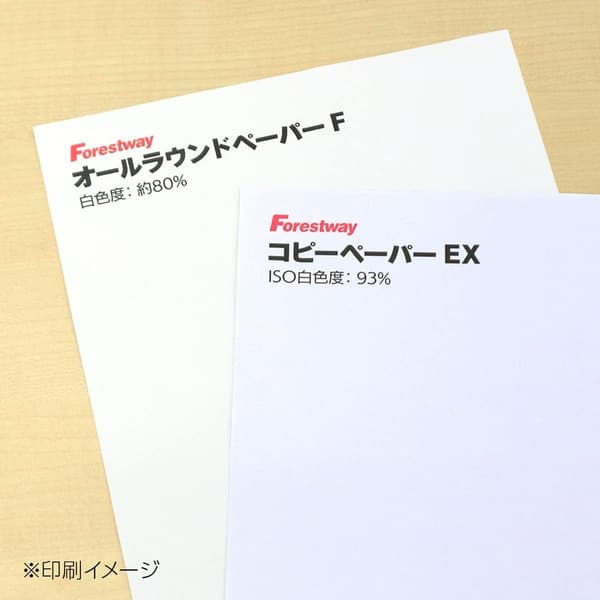 高白色コピー用紙 A4 5000枚 (500枚×10冊)