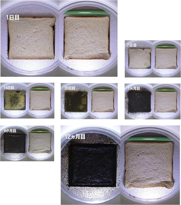 カーエアコン用 消臭抗菌剤 わさびデェール 1個入