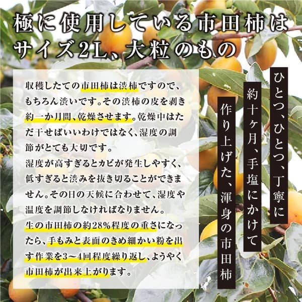 国産干し柿ギフト 山下屋荘介 市田柿 極 (2L / 12個入り) 個包装 高級スイーツ