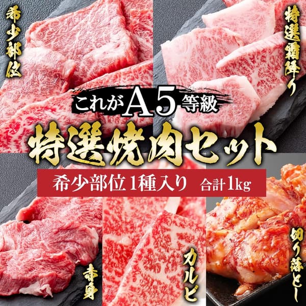 特選 A5ランク和牛焼肉セット 1kg 5種盛り BBQ用