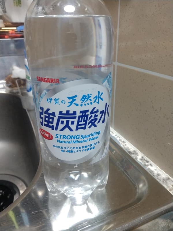伊賀の天然水 強炭酸水 プレーン 500ml×48本セット