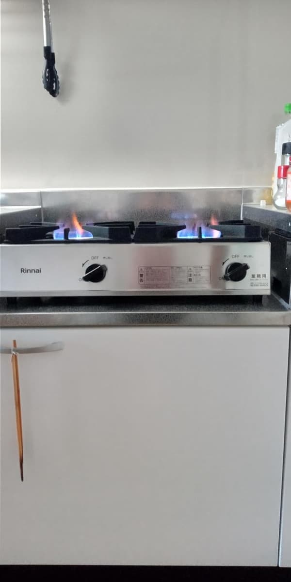 業務用プロパンガス2口ステンレス鋼ガスコンロ RSB-211A-LP