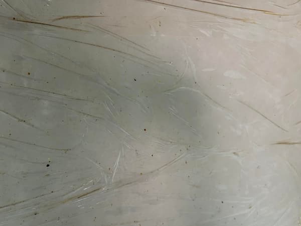 業務用 サランラップ 30㎝×50m 2個セット