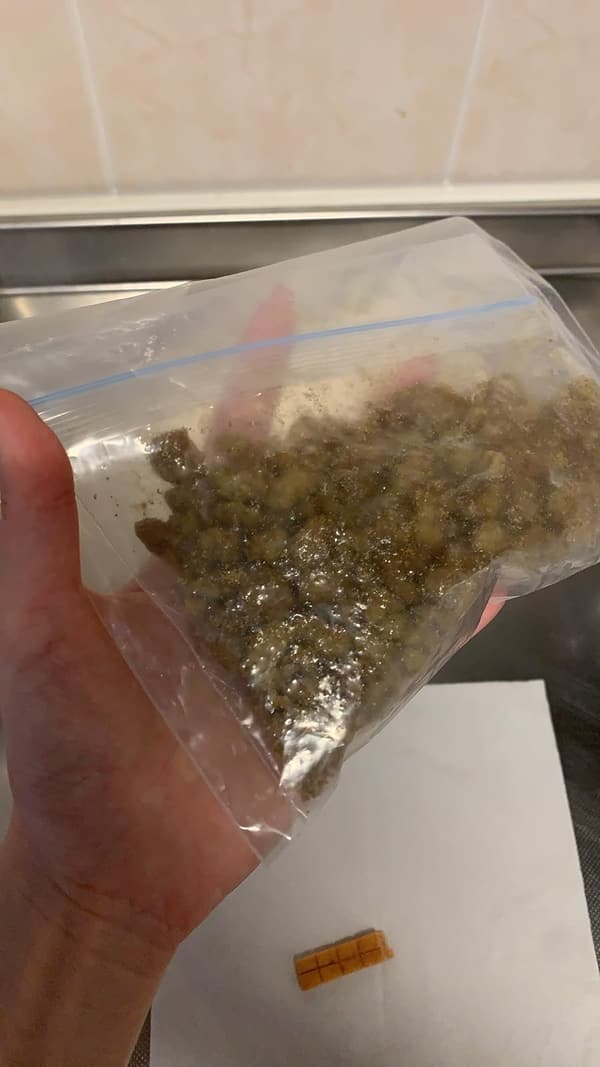 低分子プロテイン療法食 犬用ドライ 3kg【ロイヤルカナン】